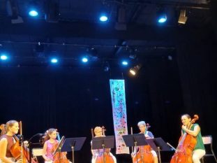 Violoncelle-rotated